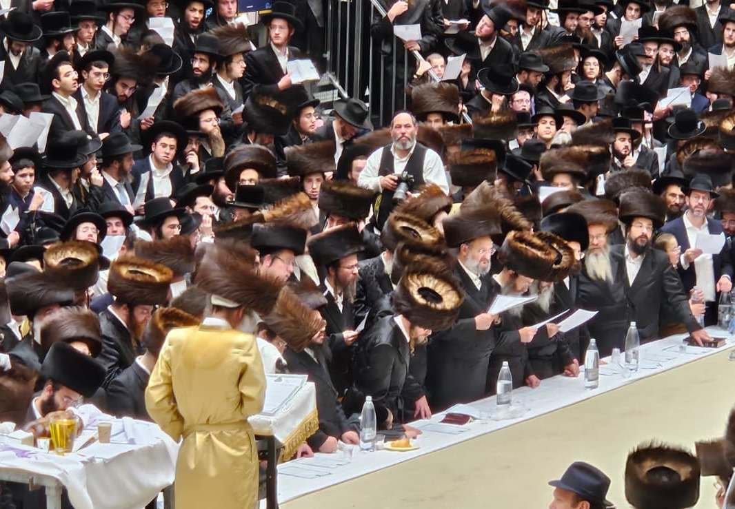 שלומי טריכטר