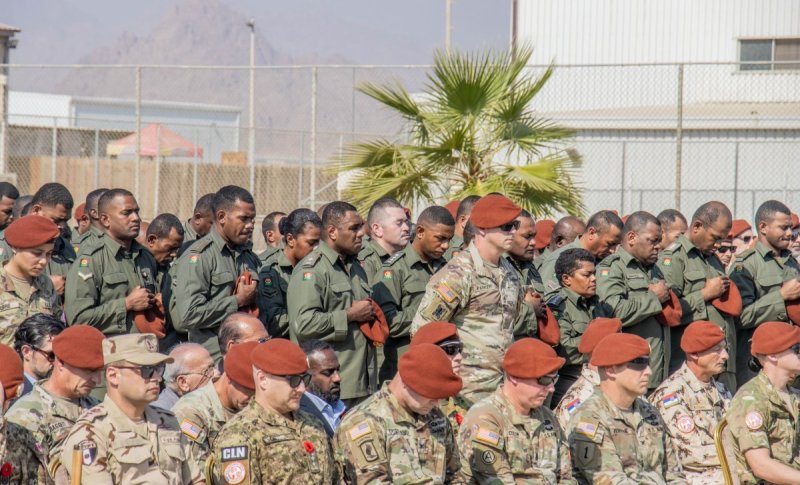 Task Force Sinai