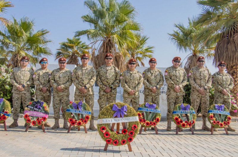 Task Force Sinai