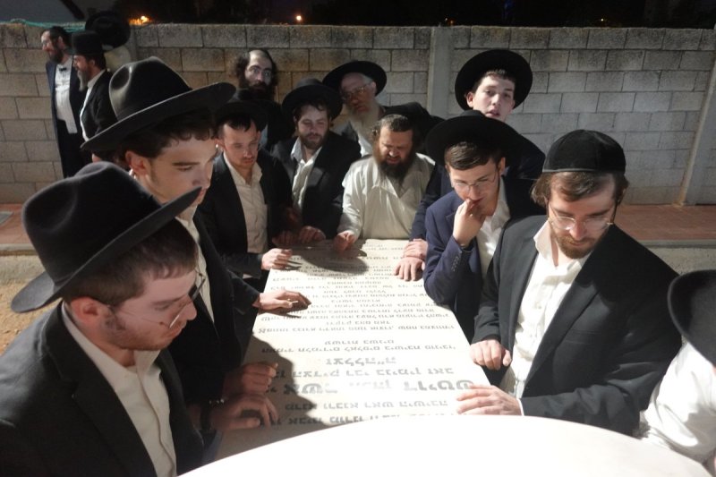 דוד קשת