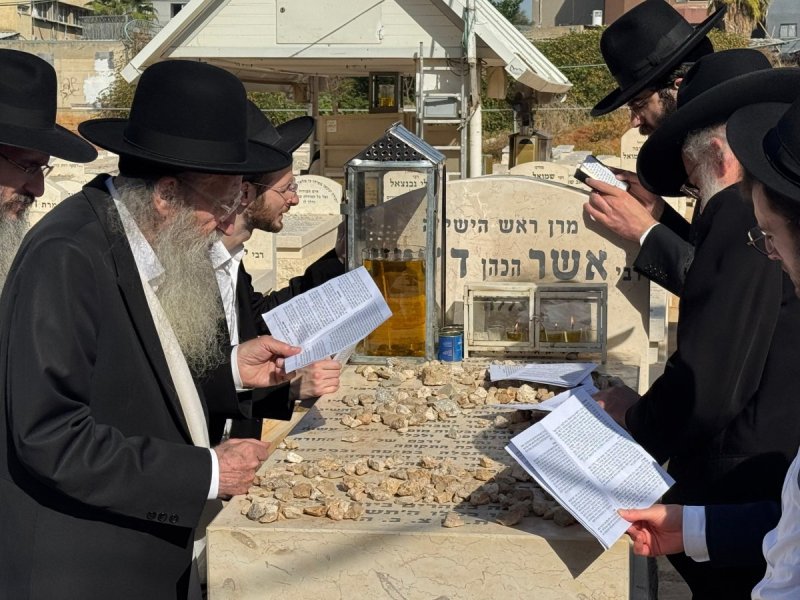 דוד קשת
