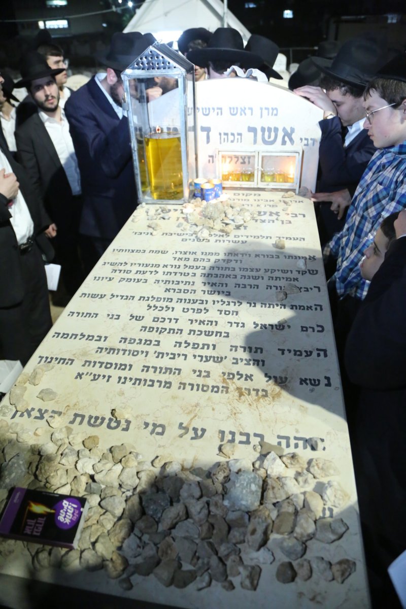 דוד קשת
