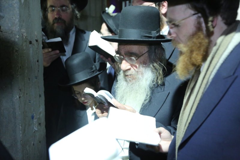דוד קשת