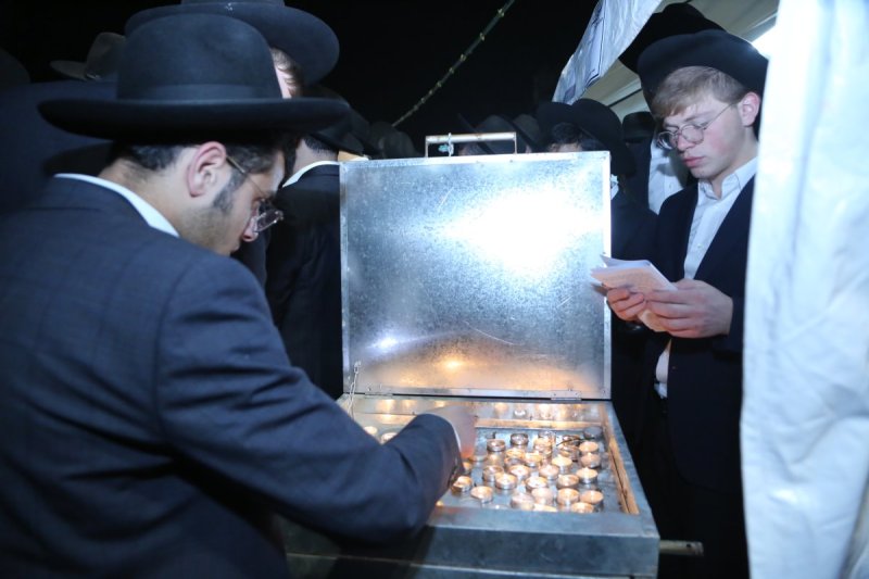 דוד קשת