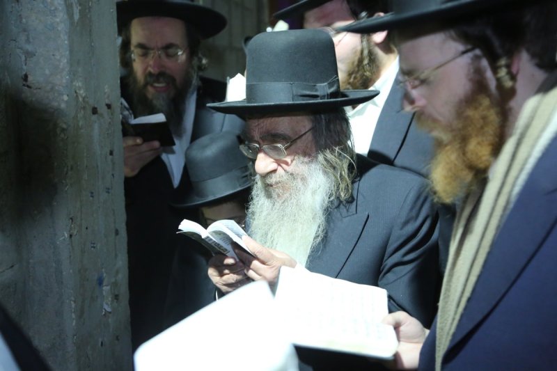 דוד קשת