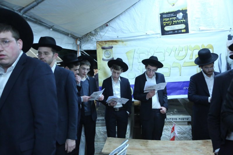 דוד קשת