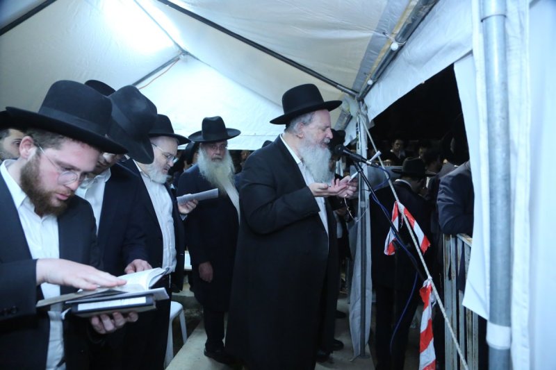 דוד קשת