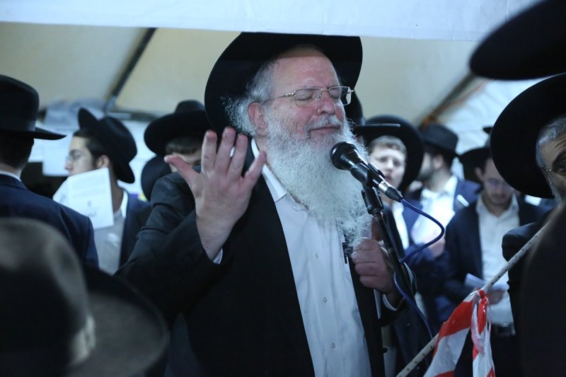 דוד קשת
