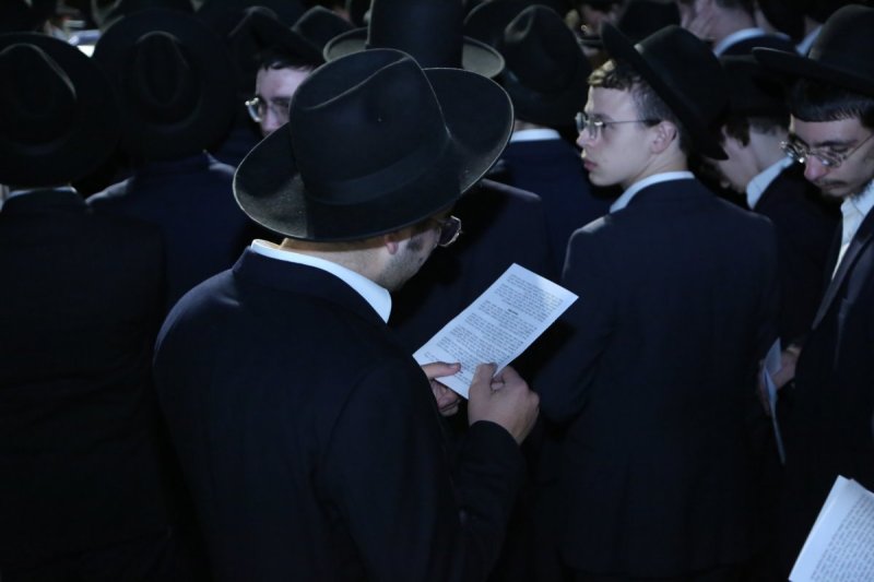 דוד קשת