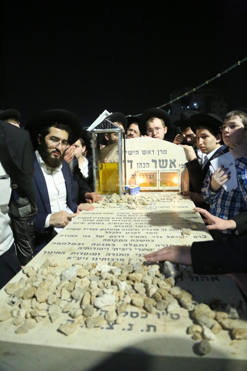דוד קשת