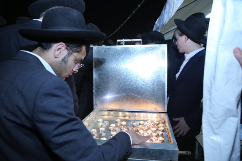 דוד קשת