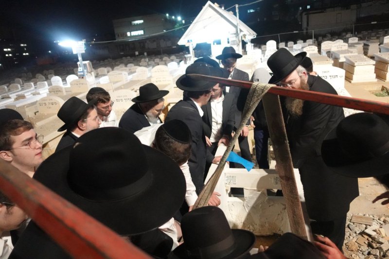 דוד קשת
