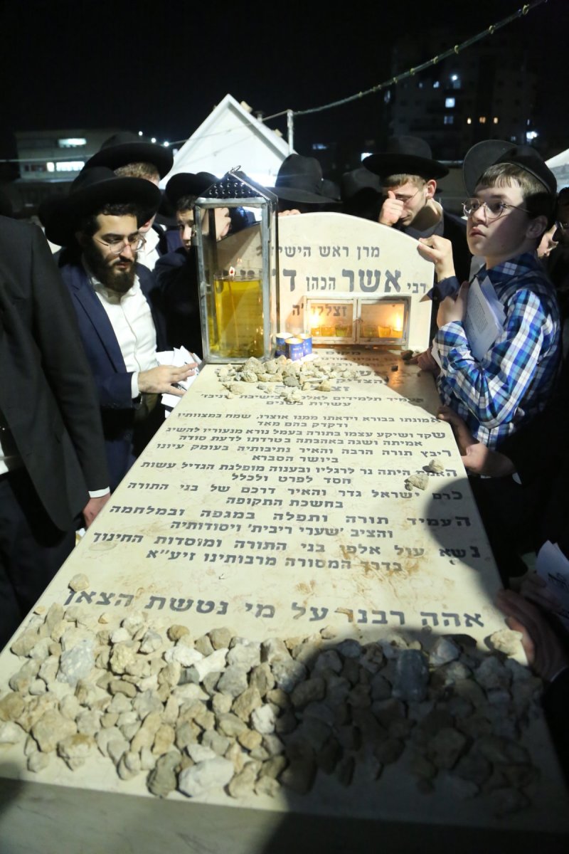דוד קשת
