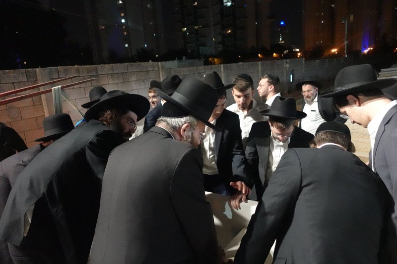 דוד קשת