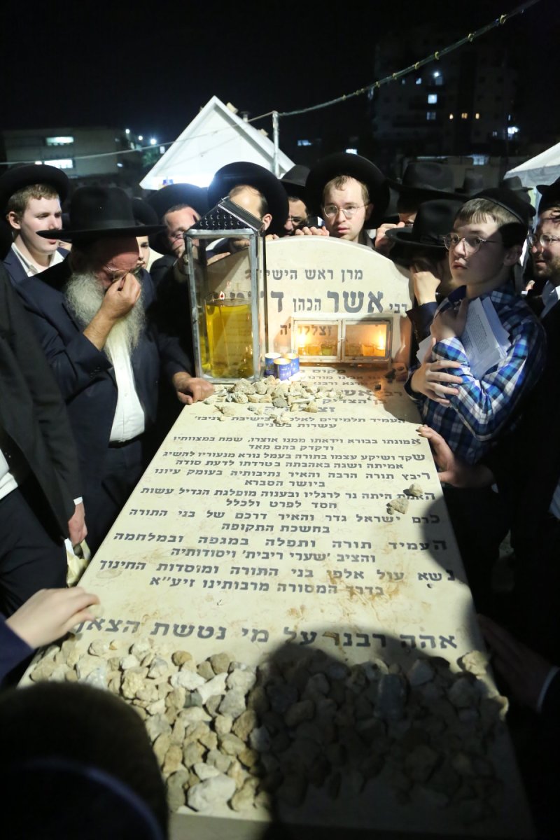 דוד קשת