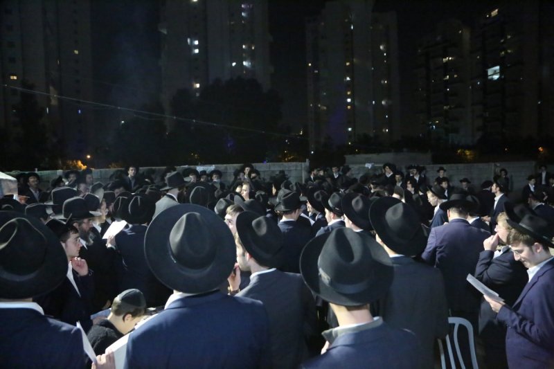 דוד קשת