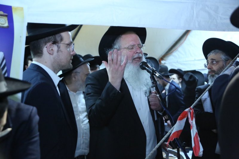דוד קשת