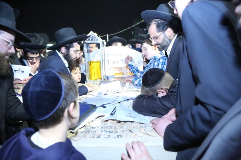 דוד קשת