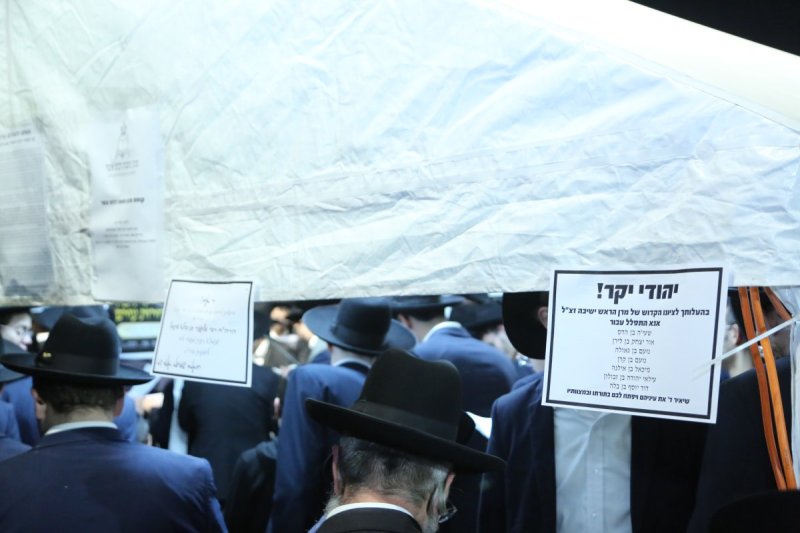 דוד קשת