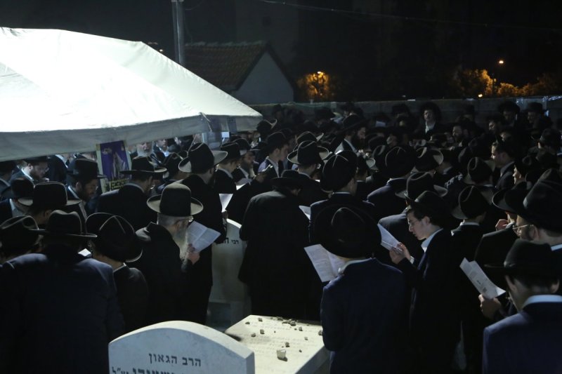 דוד קשת