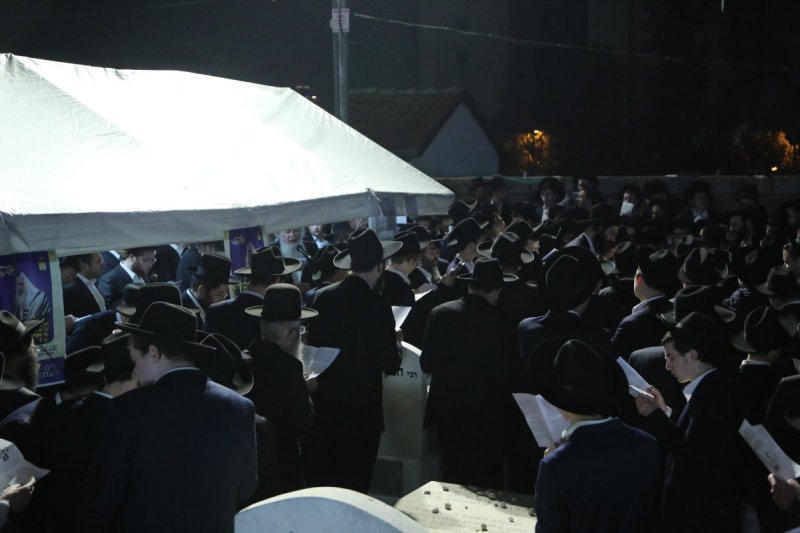 דוד קשת