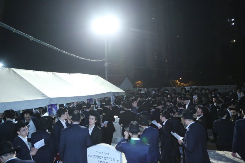 דוד קשת