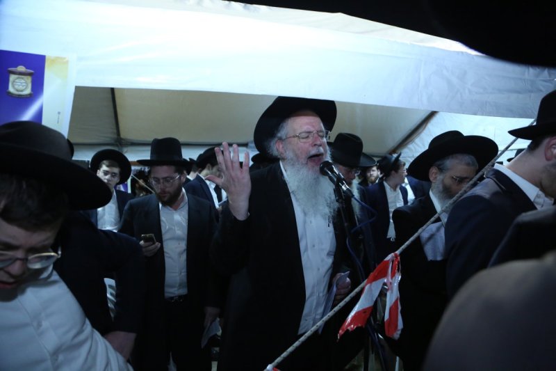 דוד קשת