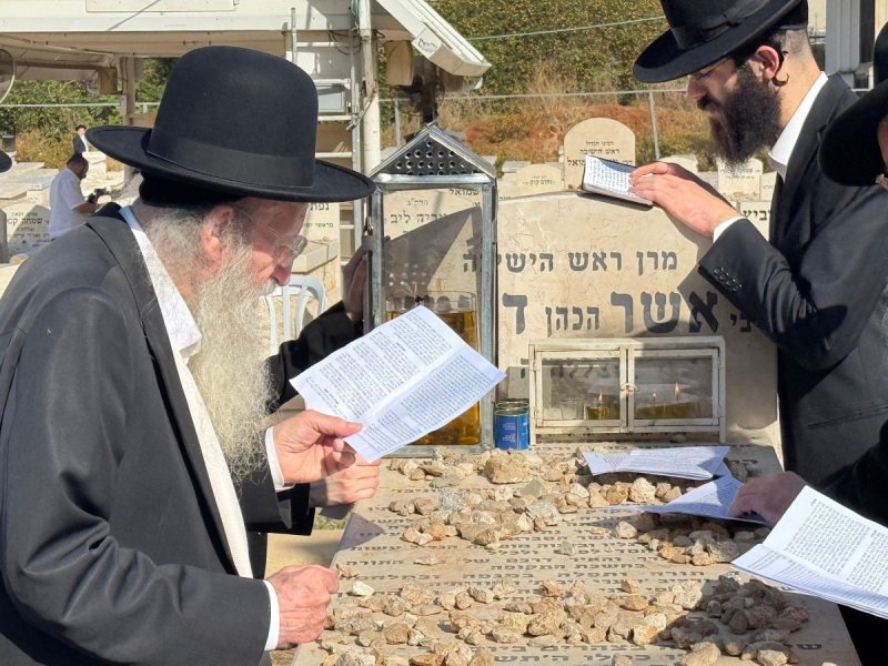 דוד קשת