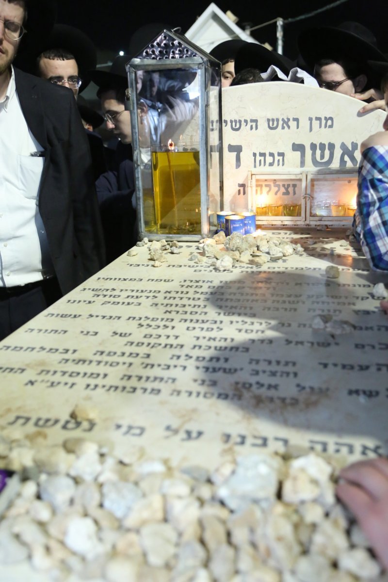 דוד קשת