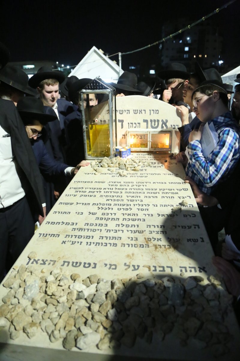 דוד קשת