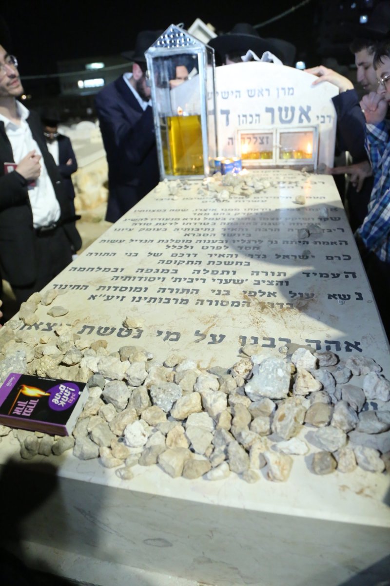 דוד קשת