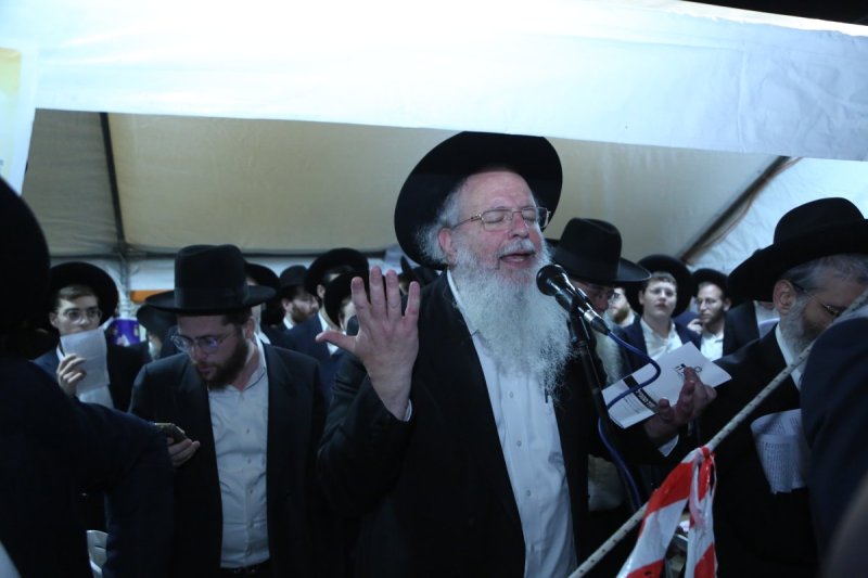 דוד קשת