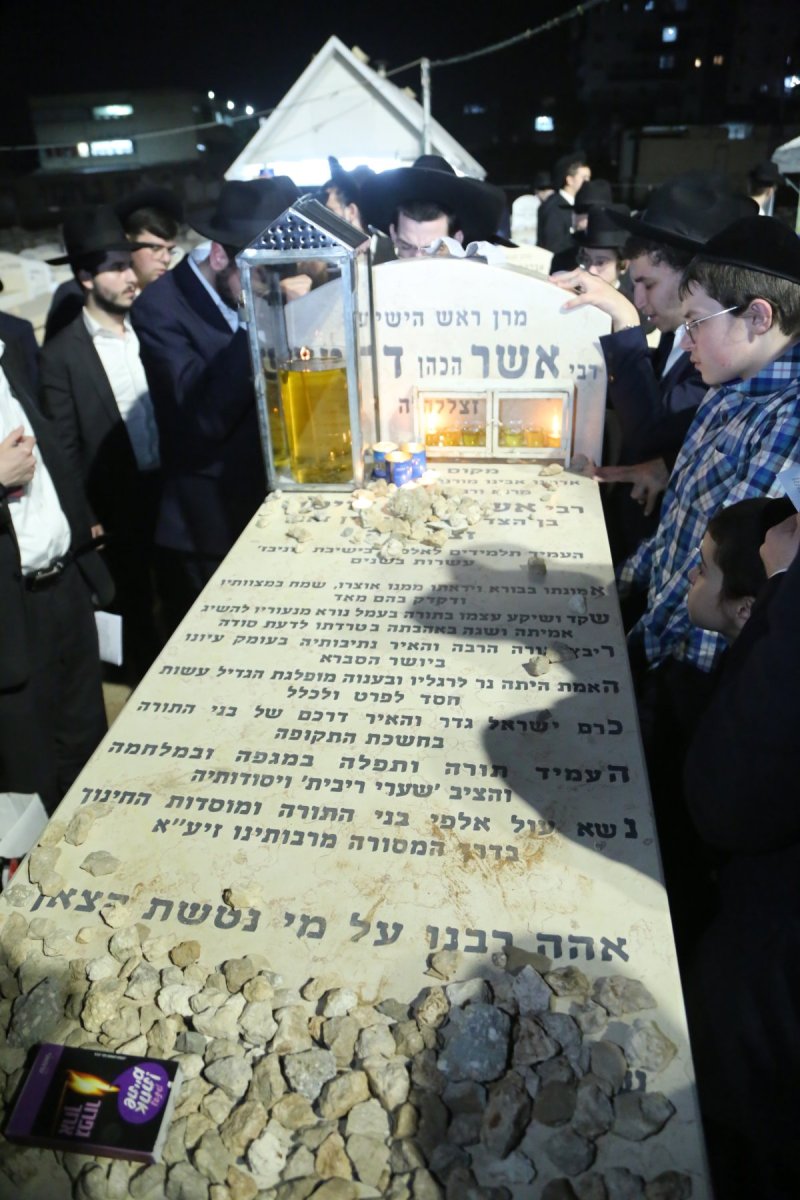 דוד קשת