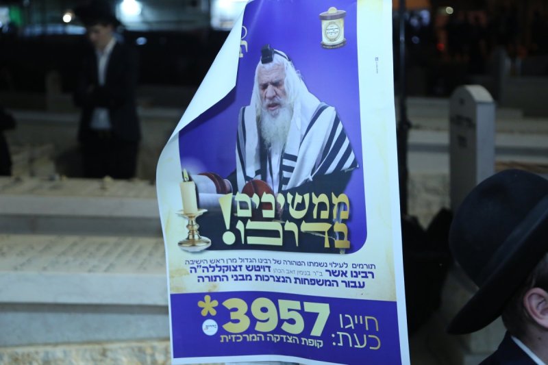 דוד קשת