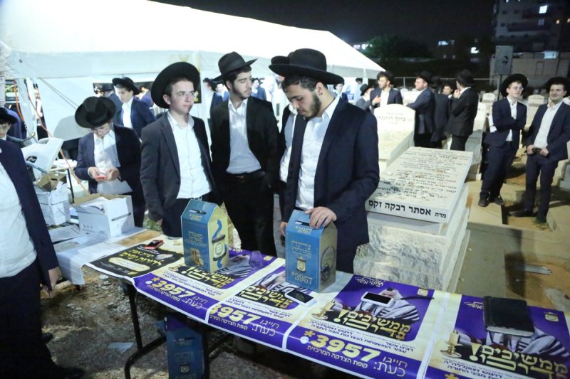 דוד קשת