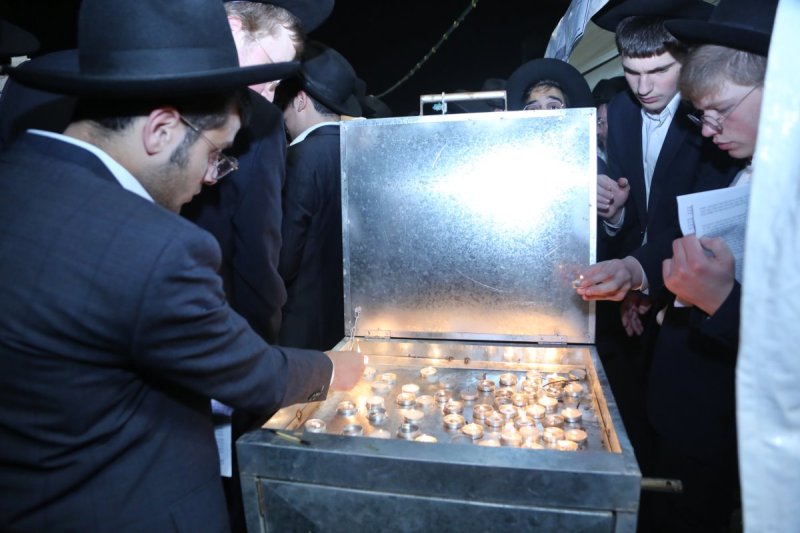 דוד קשת