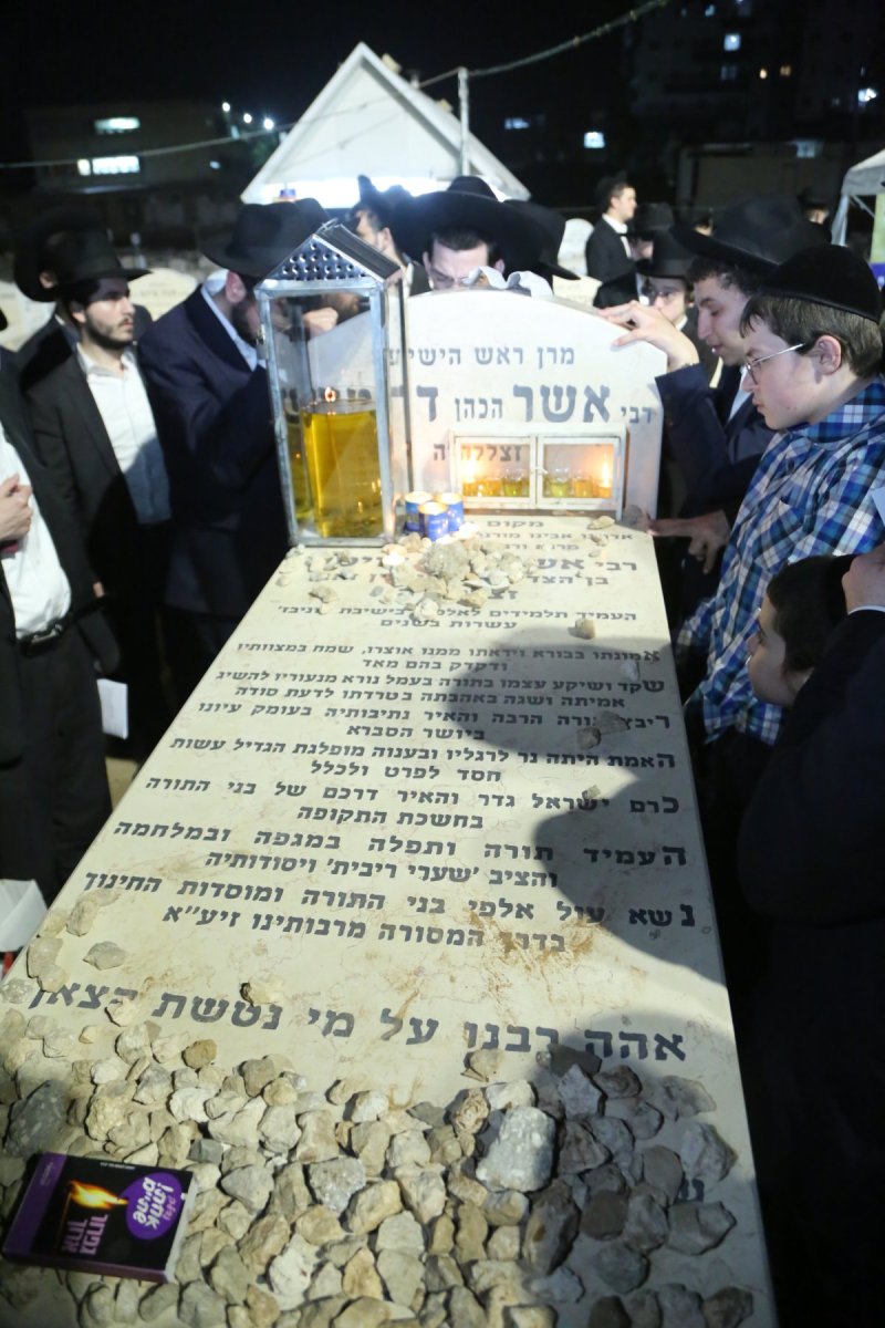 דוד קשת