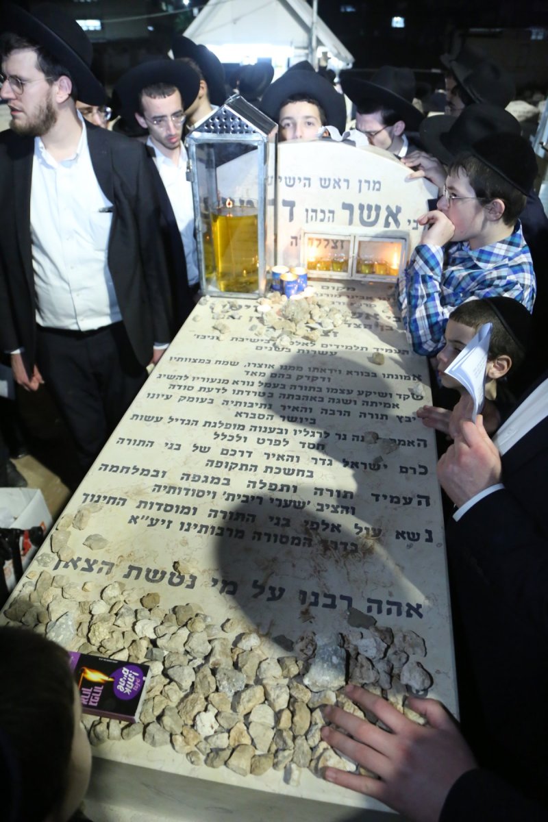 דוד קשת