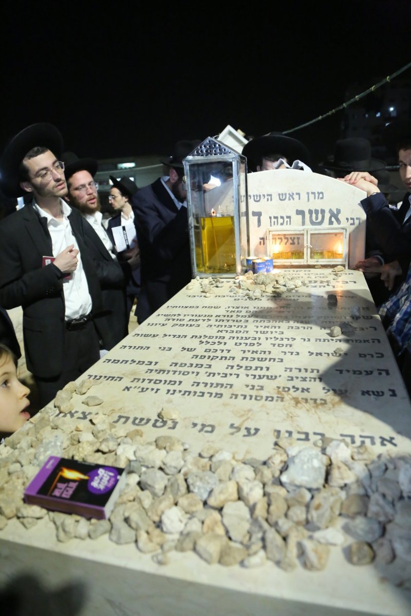 דוד קשת
