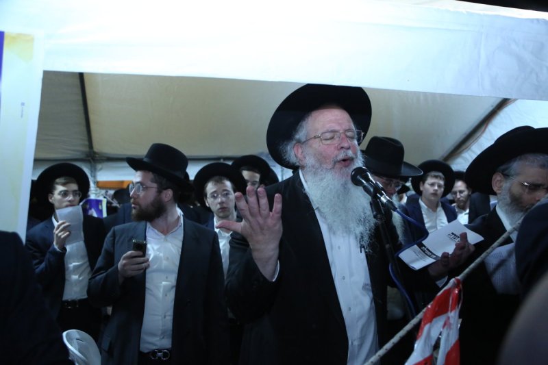 דוד קשת