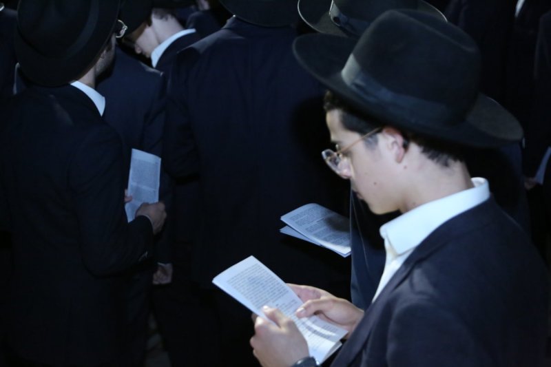 דוד קשת