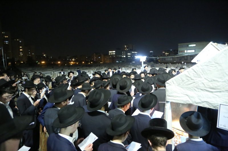 דוד קשת