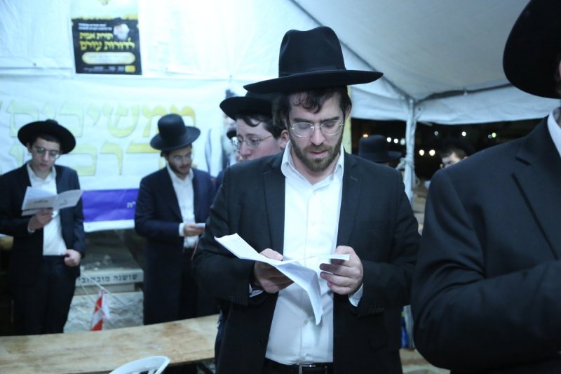 דוד קשת
