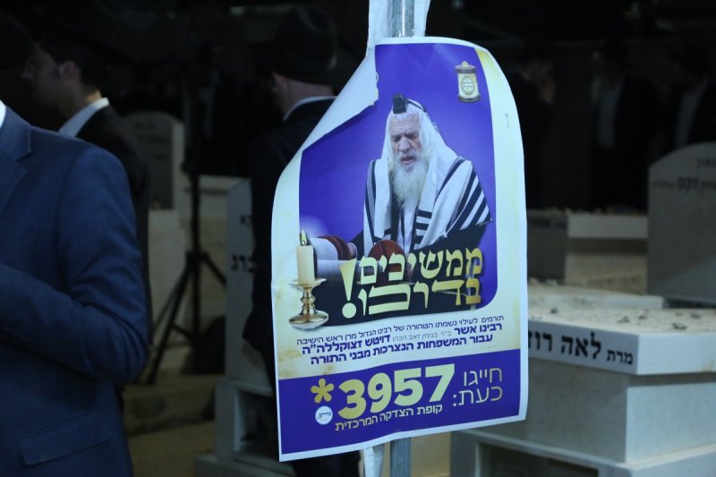 דוד קשת