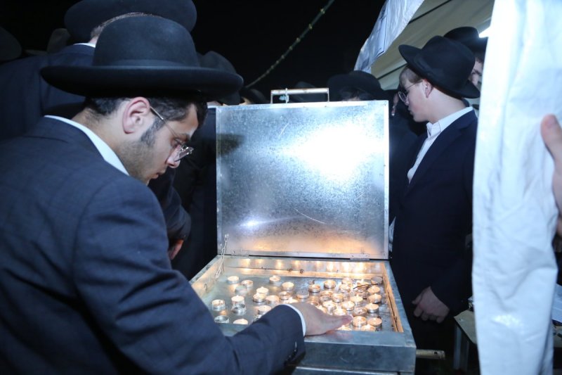 דוד קשת