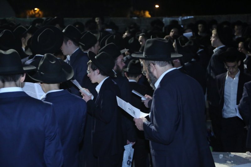 דוד קשת