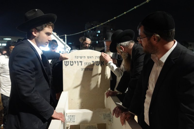 דוד קשת