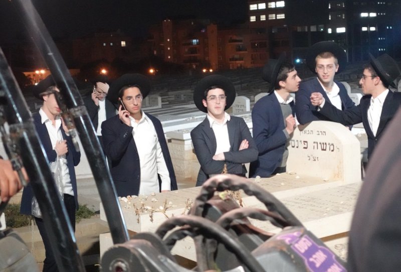 דוד קשת