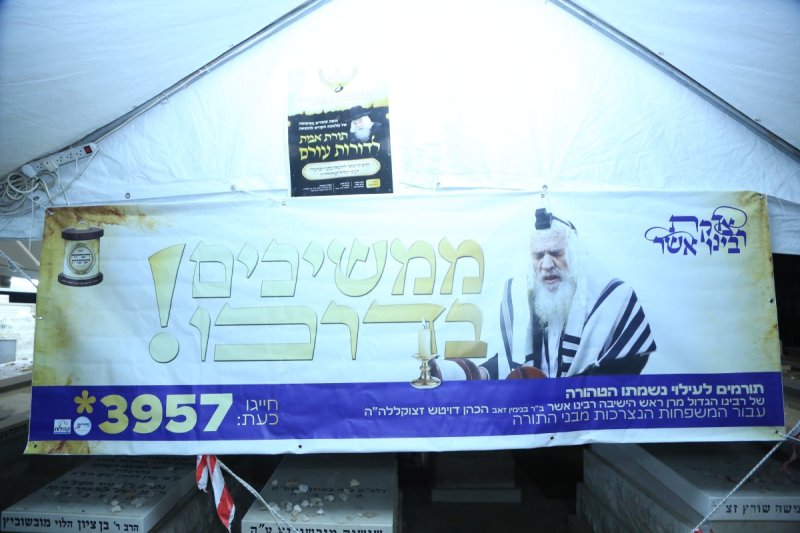 דוד קשת