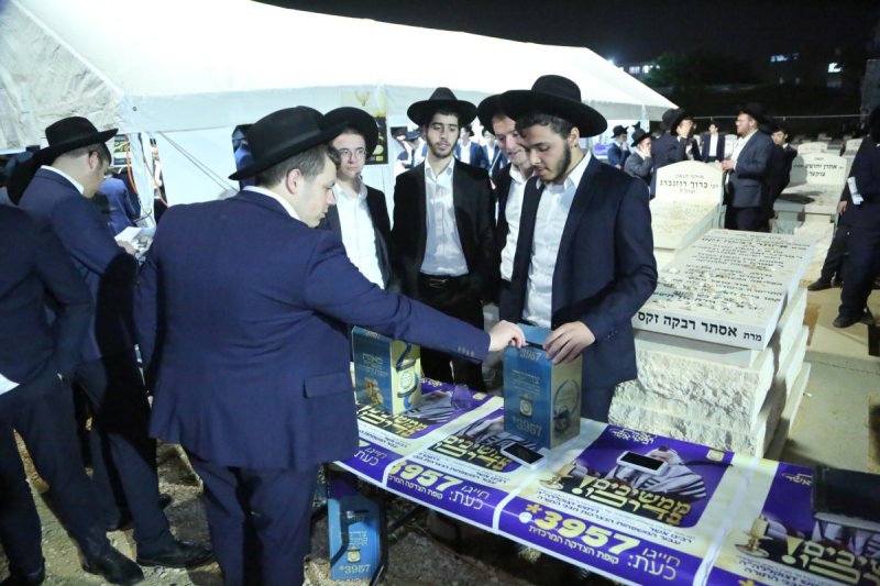 דוד קשת